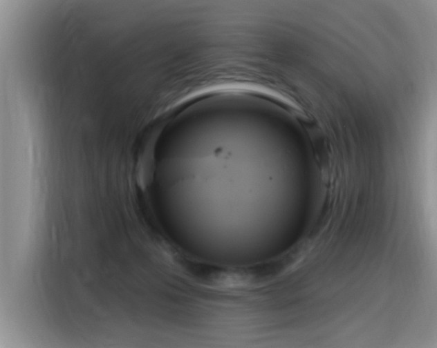 X0000115690223200911191120