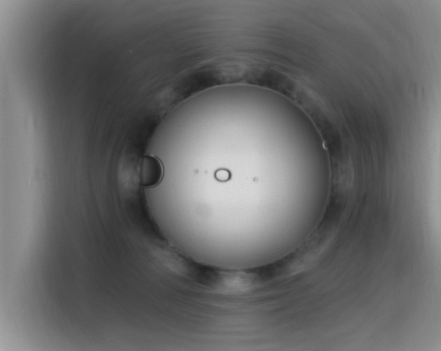 X0000115690226200911191120