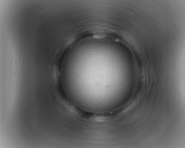 X0000115690228200911191120