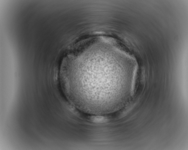 X0000115690230200911191120