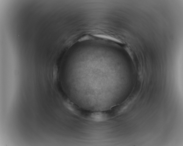 X0000115690231200911191120