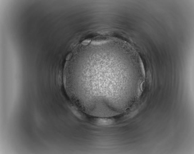 X0000115690234200911191120