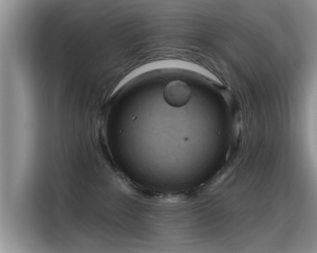 X0000115690235200911191120