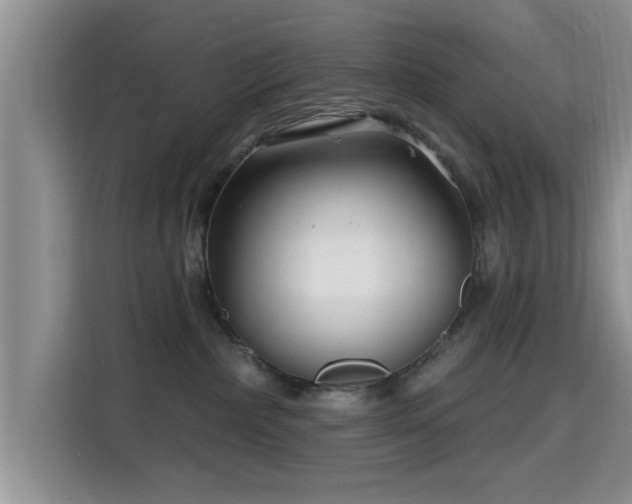 X0000115690236200911191120