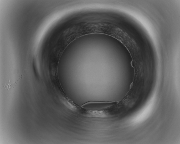 X0000115690239200911191120