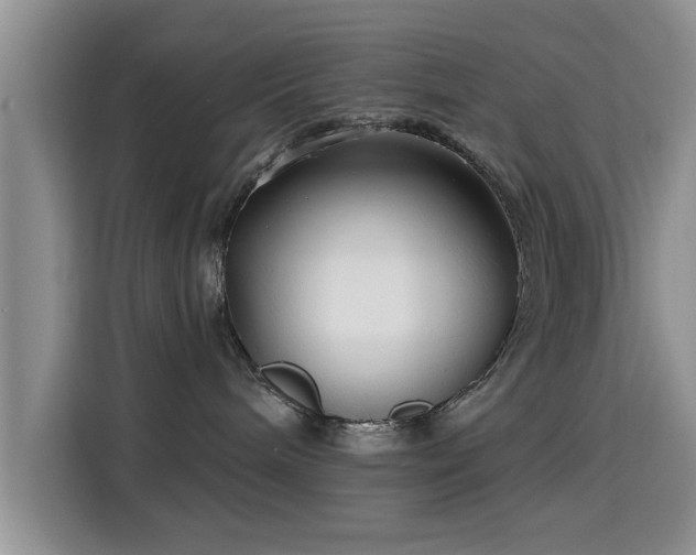 X0000115690240200911191120