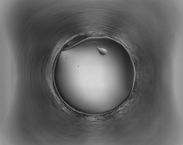 X0000115690241200911191119