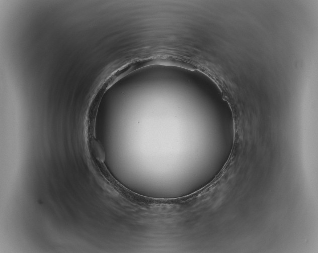 X0000115690242200911191119