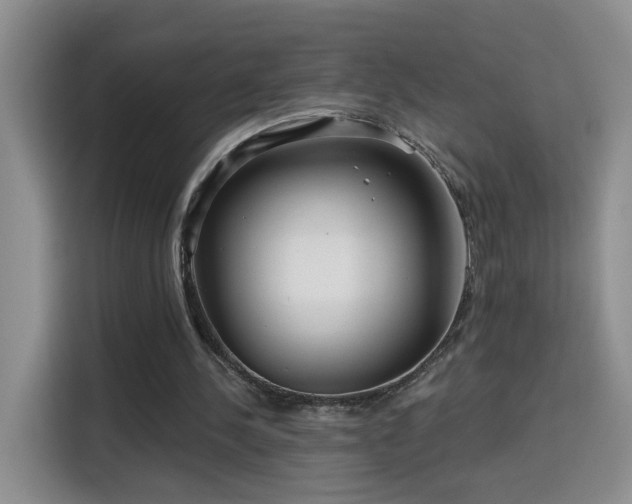 X0000115690244200911191119