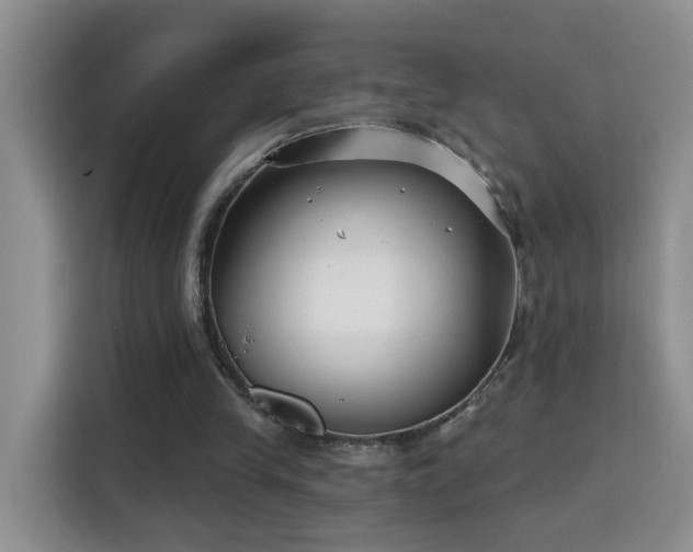 X0000115690245200911191119