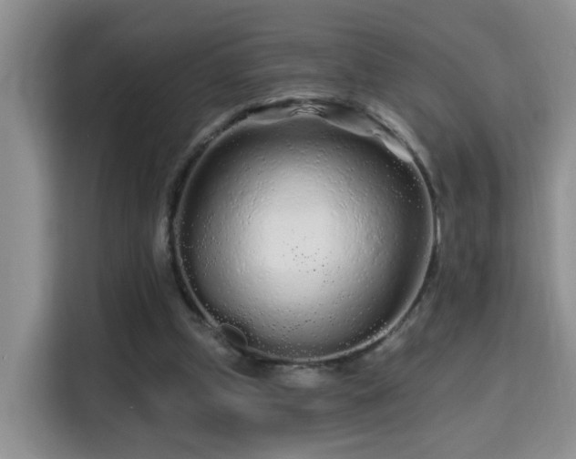 X0000115690249200911191120