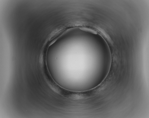 X0000115690250200911191120