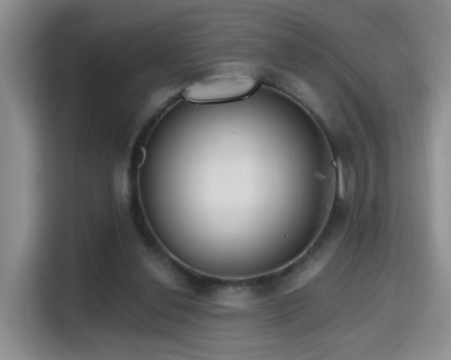 X0000115690252200911191120