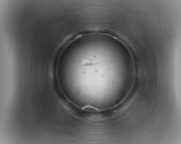 X0000115690256200911191120