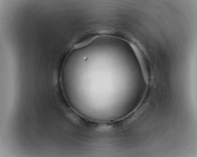 X0000115690257200911191120