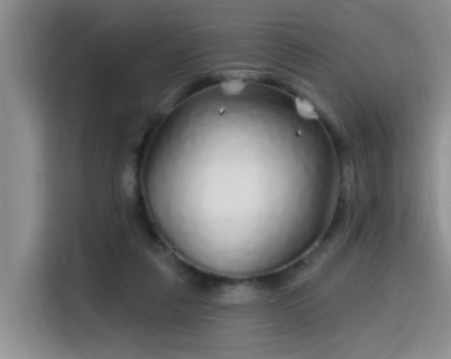 X0000115690259200911191120