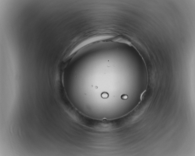 X0000115690260200911191120