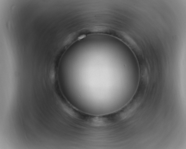 X0000115690261200911191120