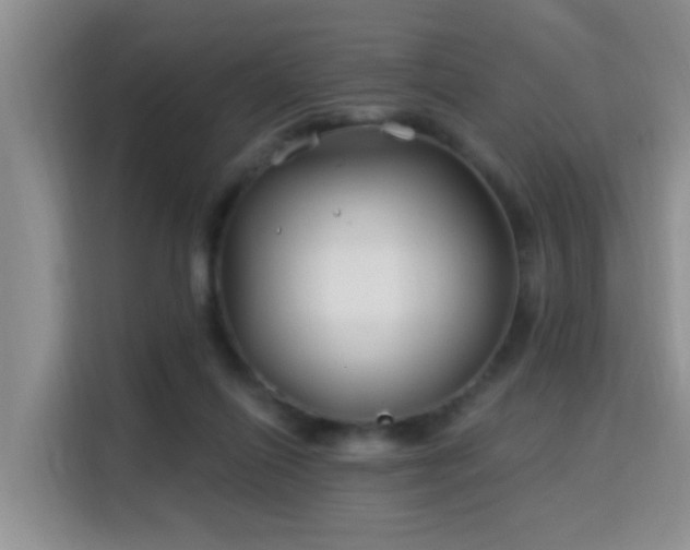 X0000115690262200911191120