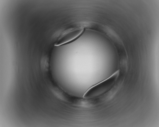 X0000115690264200911191120