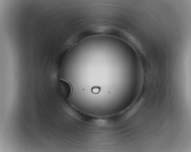 X0000115690265200911191120