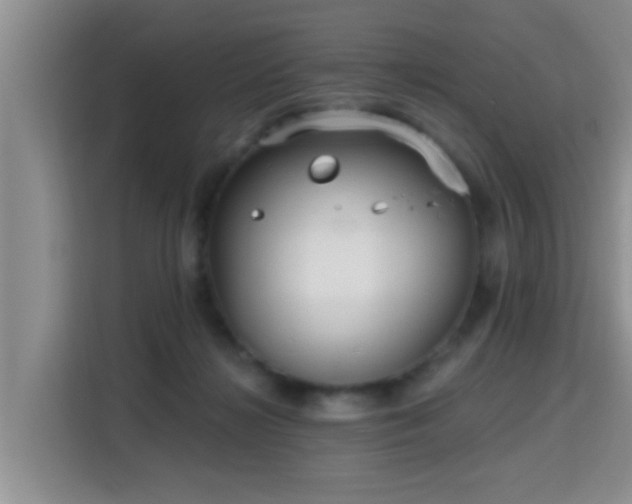 X0000115690268200911191120