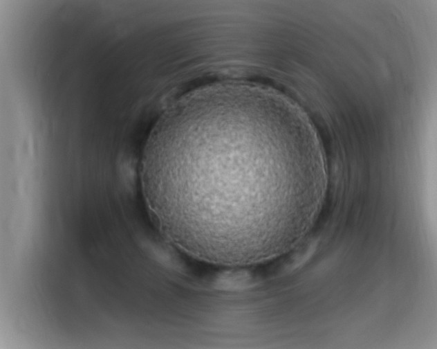 X0000115690271200911191120