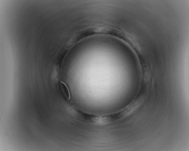 X0000115690273200911191120