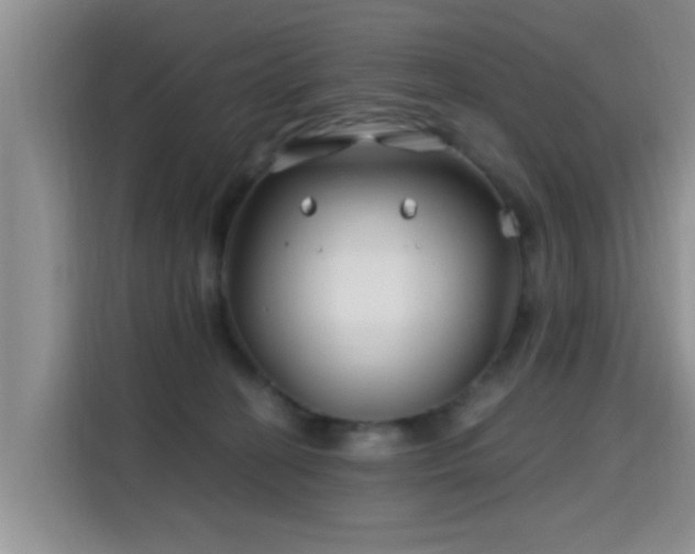 X0000115690274200911191120