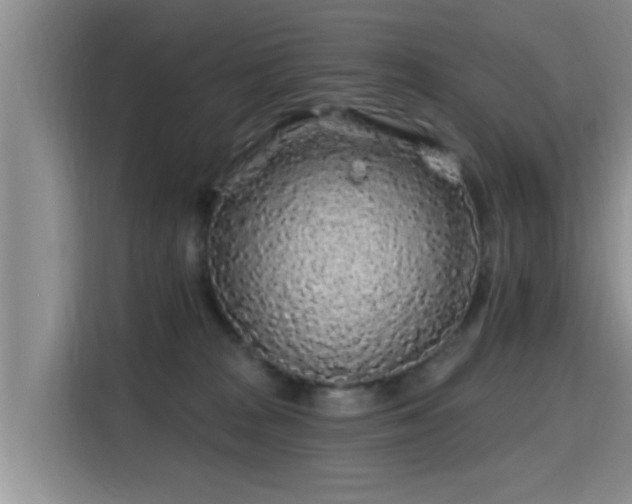 X0000115690277200911191120