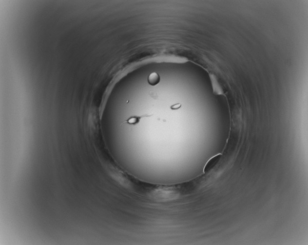 X0000115690280200911191120