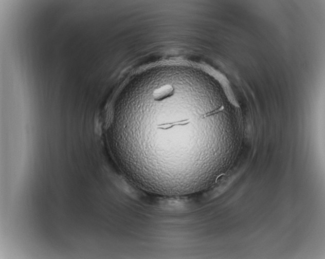 X0000115690282200911191120