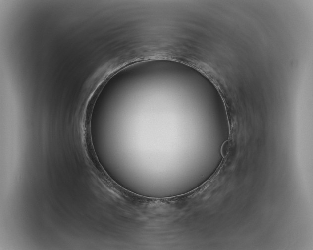 X0000115690290200911191119