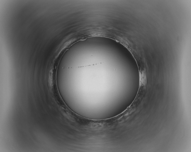 X0000115690291200911191119