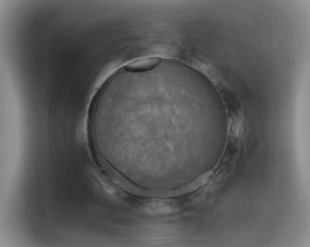 X0000115690292200911191119