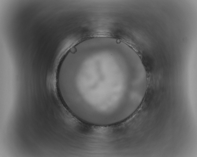 X0000115690293200911191119