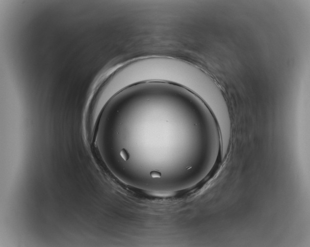 X0000115690294200911191119