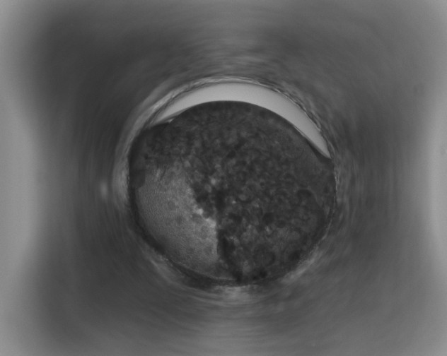 X0000115690295200911191119