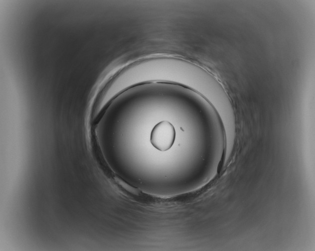 X0000115690296200911191119