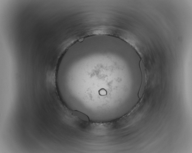 X0000115690297200911191119