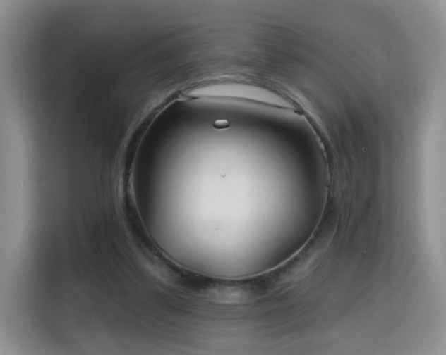 X0000115690299200911191119