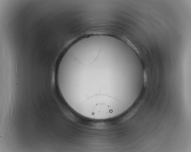 X0000115690301200911191119