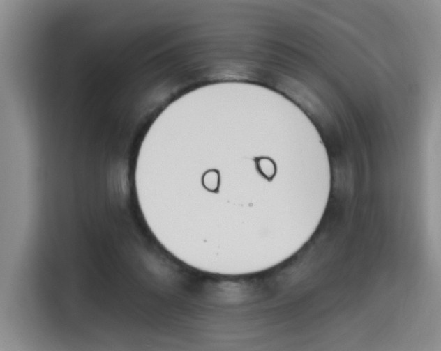 X0000115690302200911191119