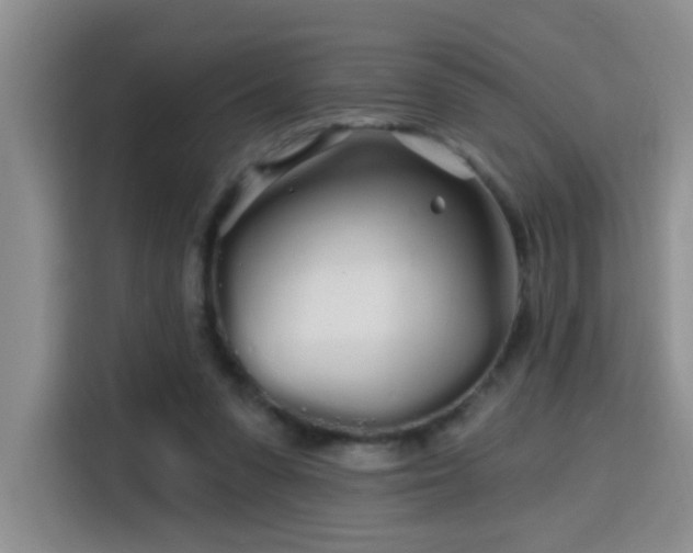 X0000115690303200911191119