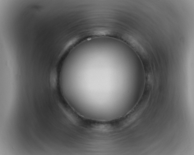 X0000115690304200911191119