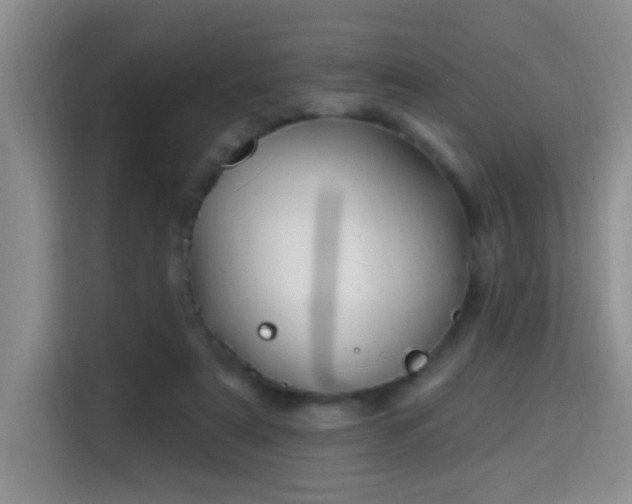 X0000115690307200911191119