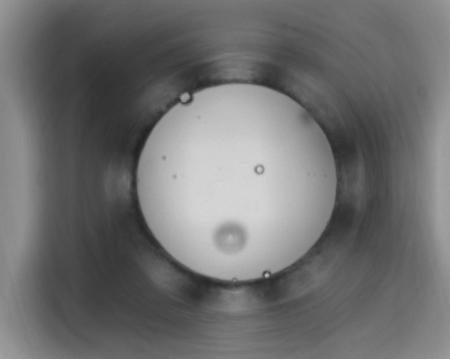 X0000115690309200911191119