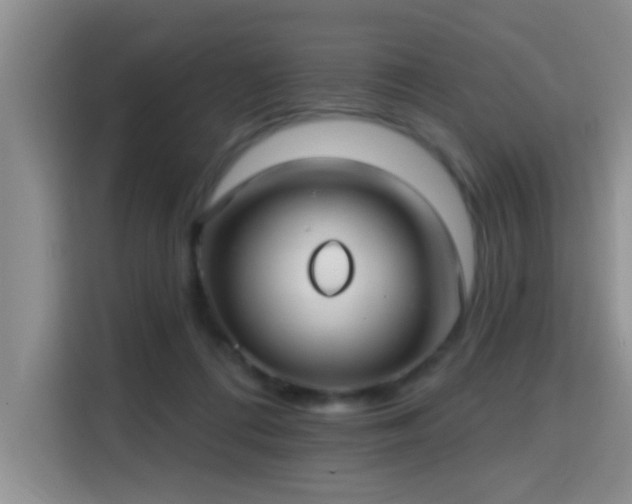 X0000115690312200911191119