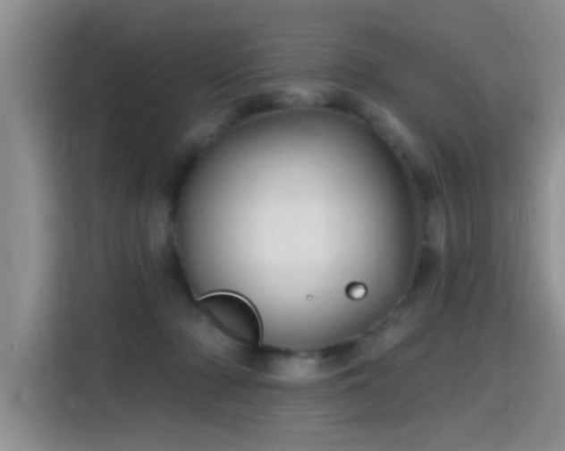 X0000115690318200911191119