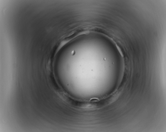 X0000115690319200911191119